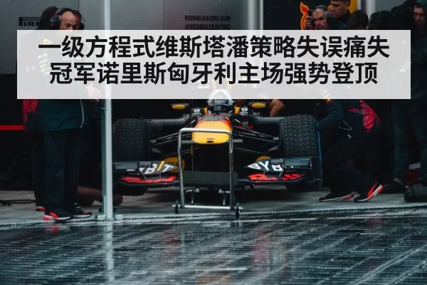 一级方程式维斯塔潘策略失误痛失冠军诺里斯匈牙利主场强势登顶